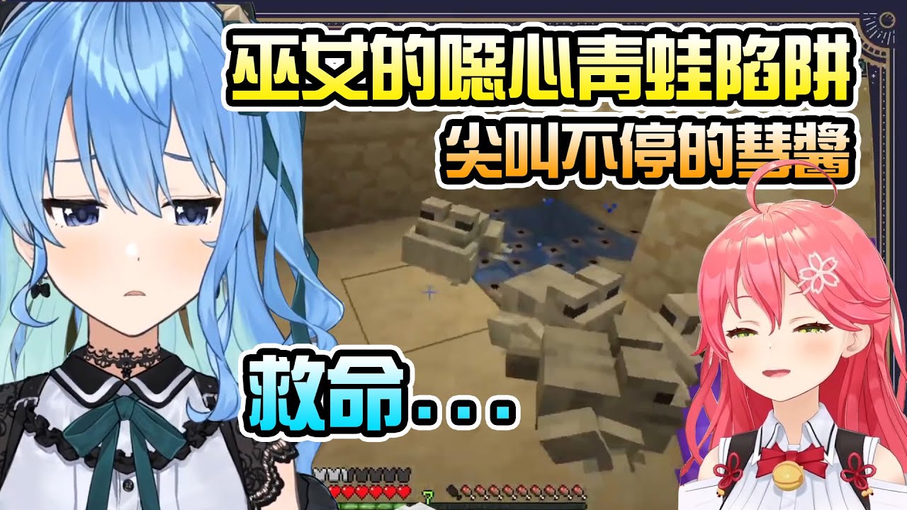 這就是MICOMET的羈絆？用青蛙當作給彗醬的禮物【星街すいせい】
