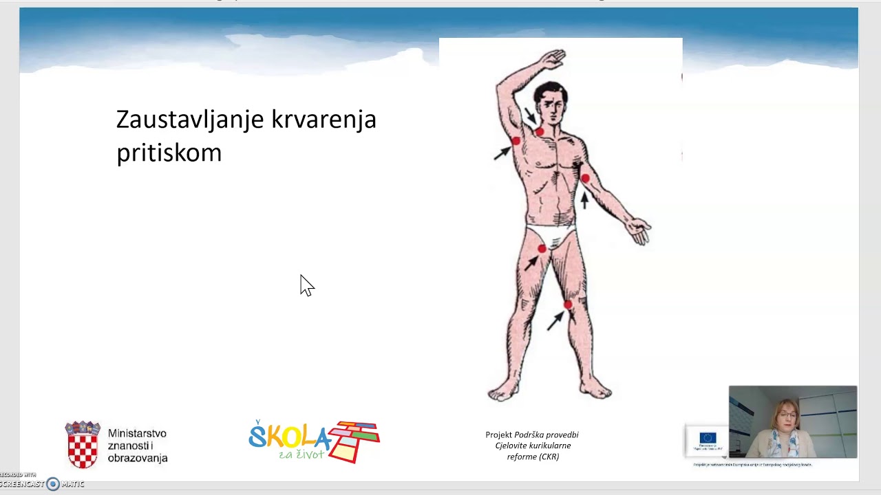 BIOLOGIJA 8. r. O&Scaron; Bolesti krvi, krvarenje, transfuzija krvi