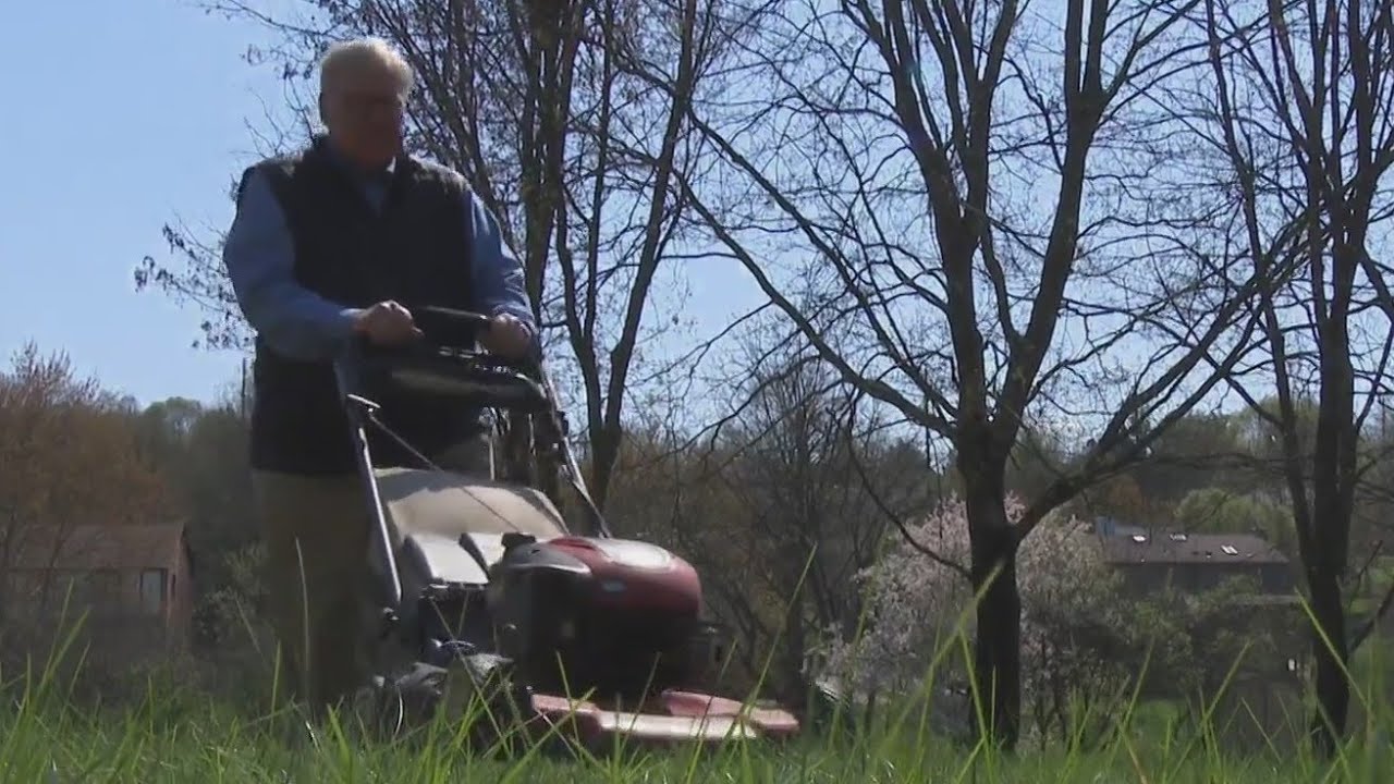 How to get the best looking lawn