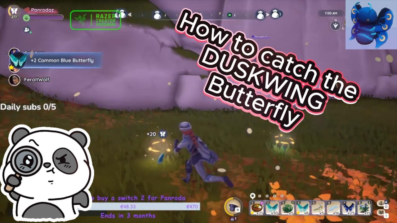 How To Catch The Duskwing Butterfly Plushy Fast! (Bug Catching Guide)