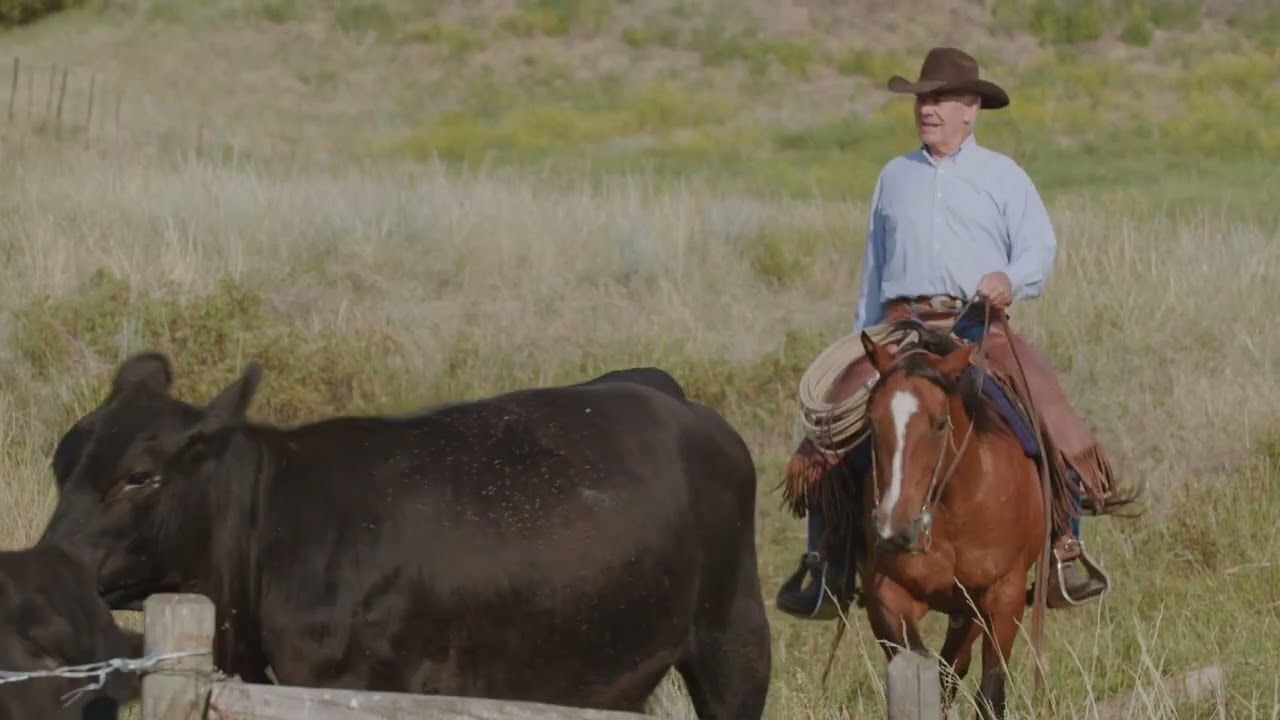 The Wild West!  Historic 28,000 Acre Gang Ranch For Sale - British Columbia