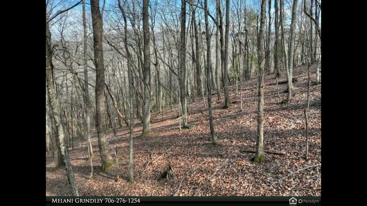 Coldwell Banker High Country Realty - LTS 159+ Hickory Trace