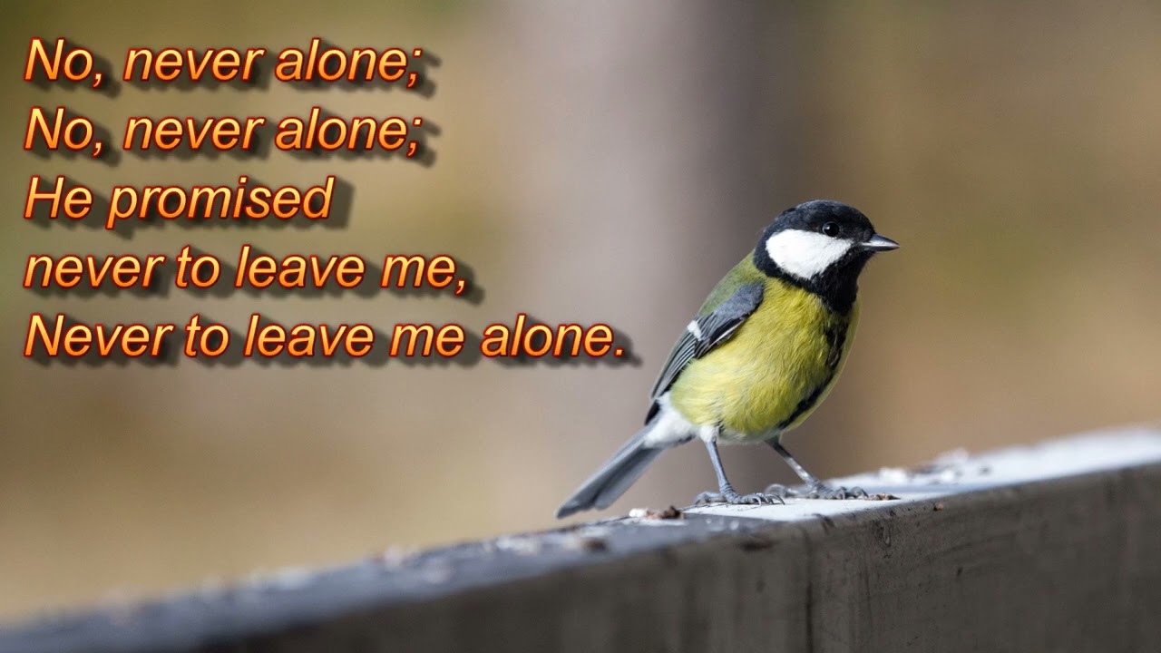 'Fear not, I am with thee'  (Lyrics Only)