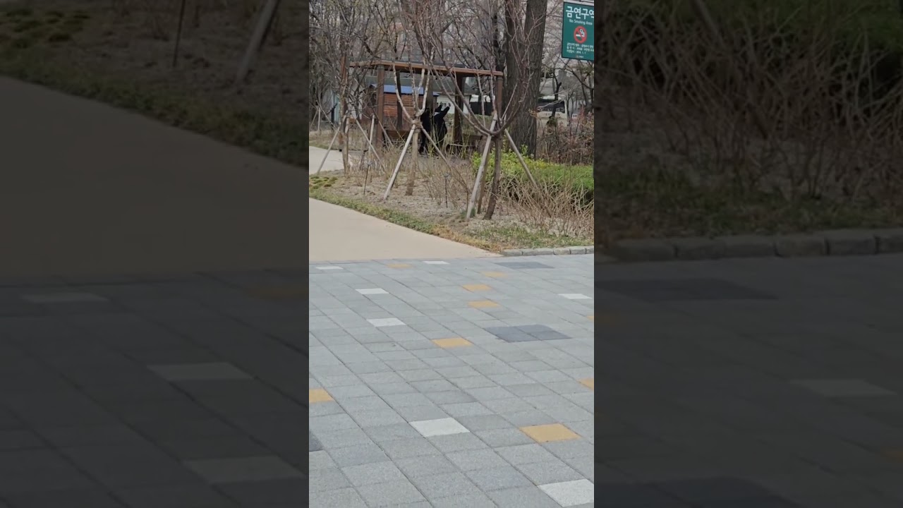 Even windy weather, 2 women are exercising in small park