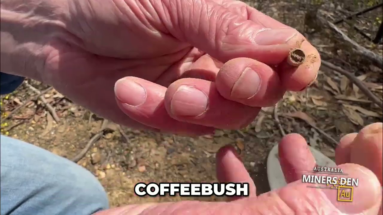 AlgoForce E1500 Plus в полевых условиях! Пули, мусор и настоящие мишени.