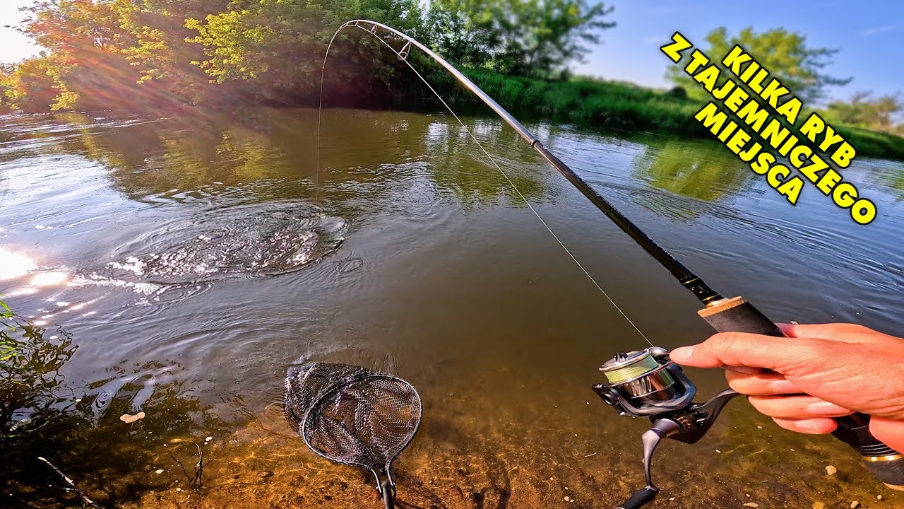 Rozpracowałem to miejsce... ale końc&oacute;wka mnie zaskoczyła !