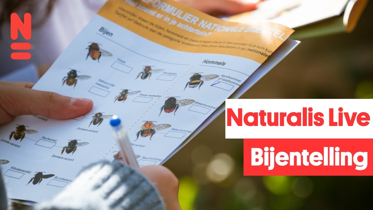 Naturalis Live: Nationale bijentelling - families