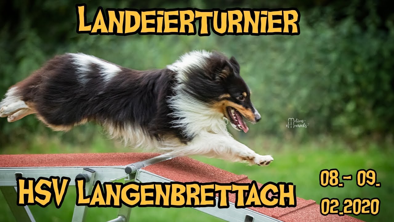 Landeierturnier HSV Langenbrettach | Aufstieg in die A2