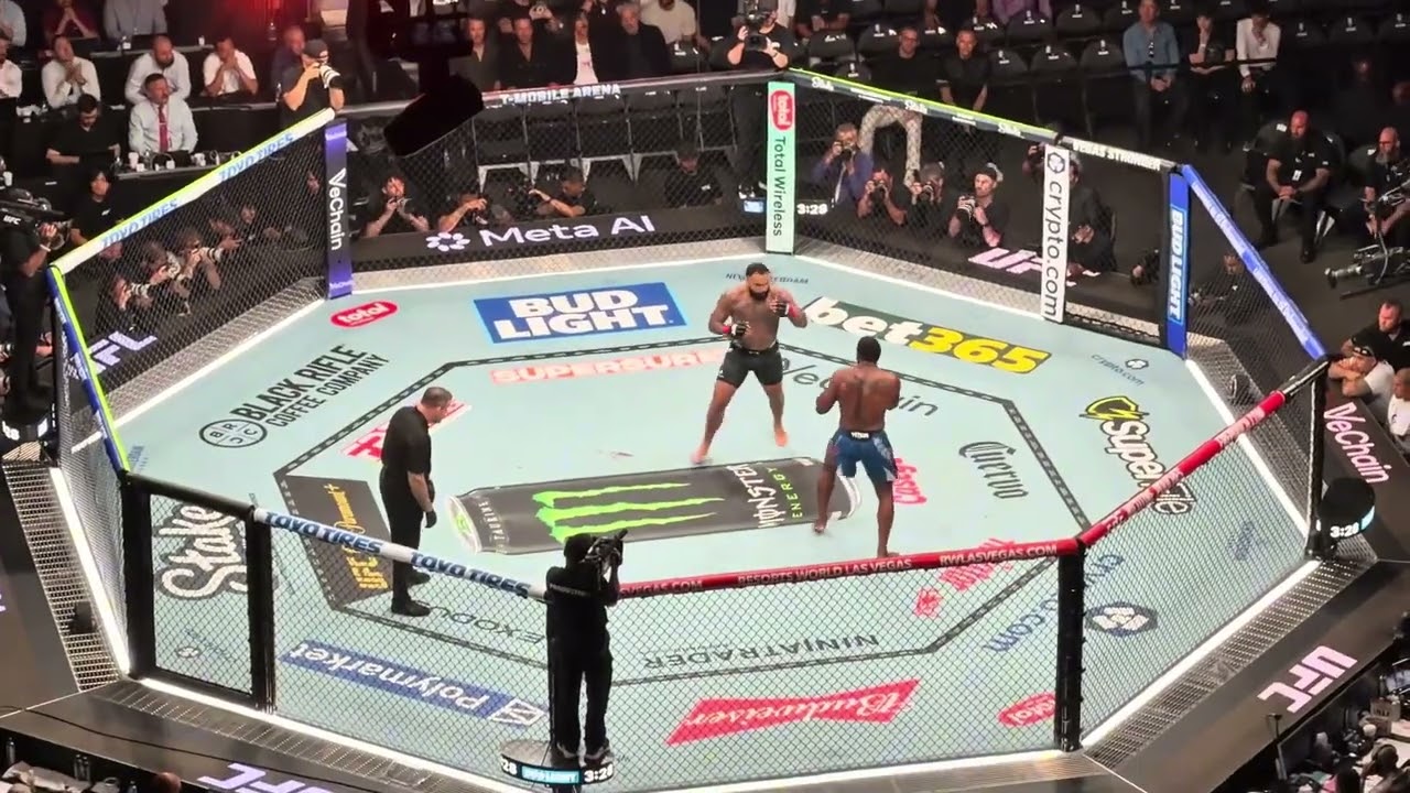 Gable Steveson vs Elisha Ellison FULL FIGHT TKO | UFC 329