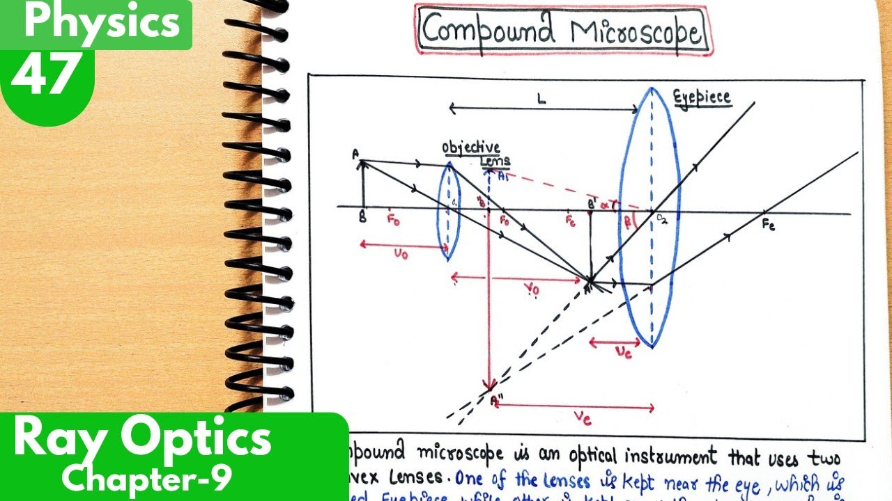 47) Compound microscope| Optical Instruments| Ray optics and optical instruments class12 Physics