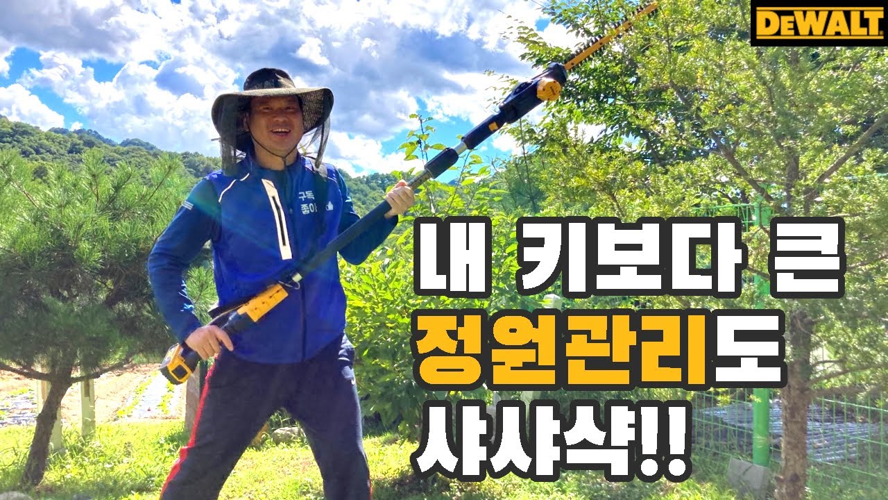 디월트 충전 장대 전정기(헤지 트리머)로 가꾸는 전원생활, 은근 여기저기 쓸데가 많네요!!