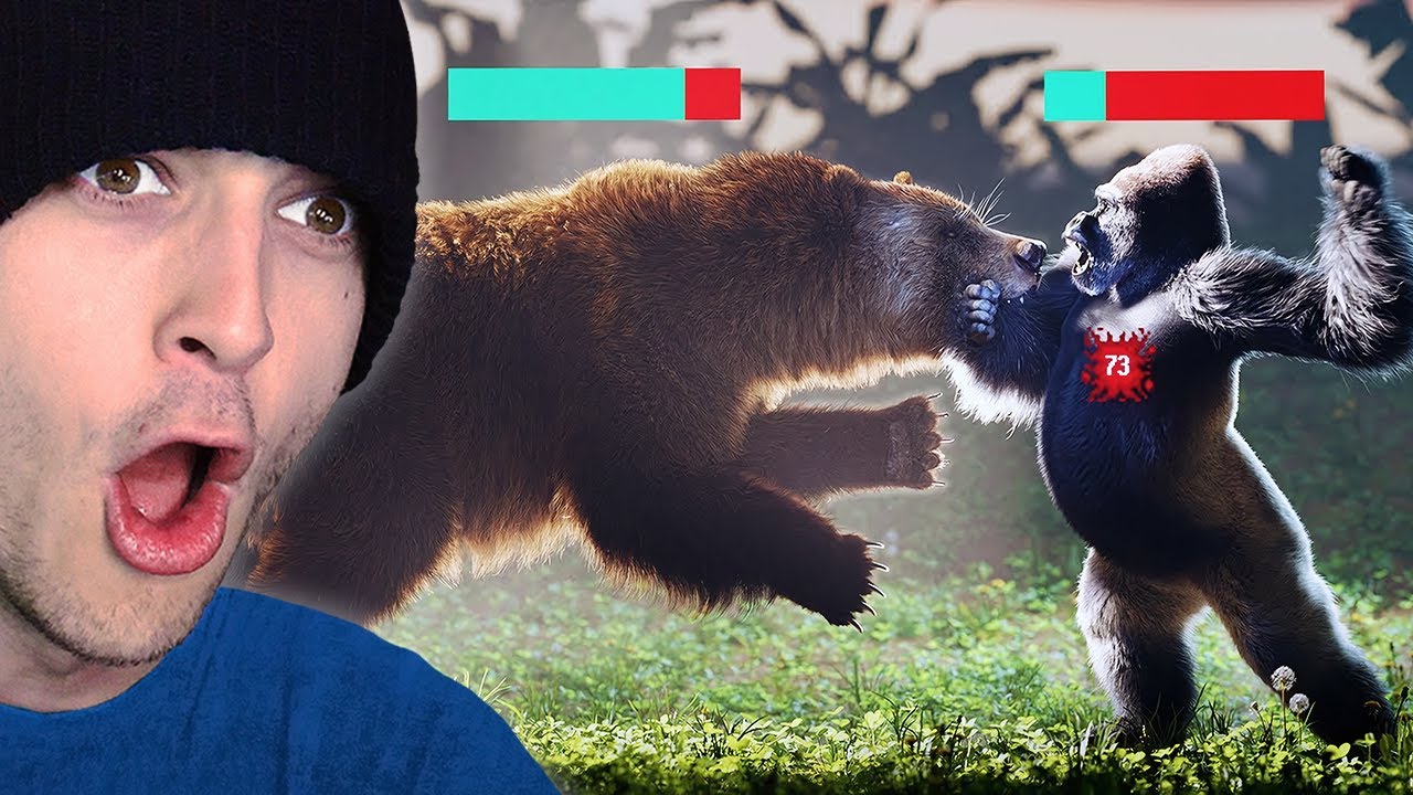 Silverback Gorilla VS Grizzly Bear?! (Reaction)