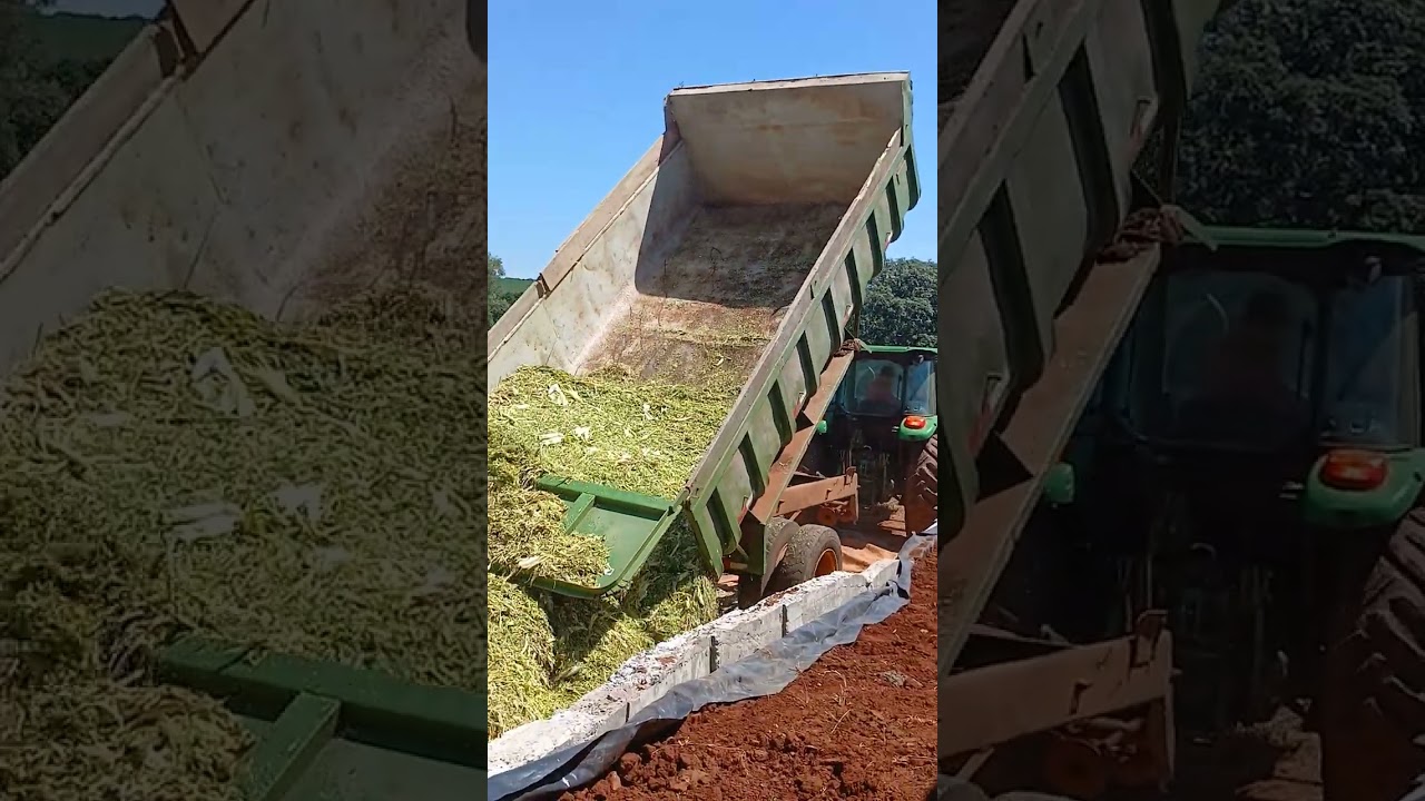 Fazendo a silagem part 2