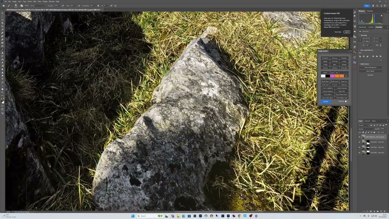 Ultimate Photo Sharpness - Focus Stacking in Lightroom and Photoshop