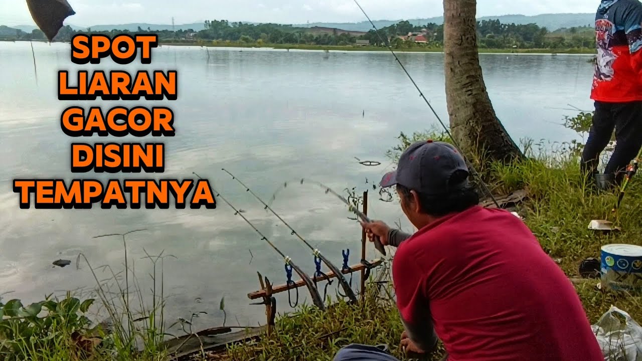 REKOMENDASI Spot Mancing Liaran Gacor, Di sini Tempatnya,yang penting Mau Capek aja menuju Spotnya..