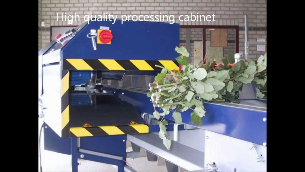 T 3100 Flower Processing Line
