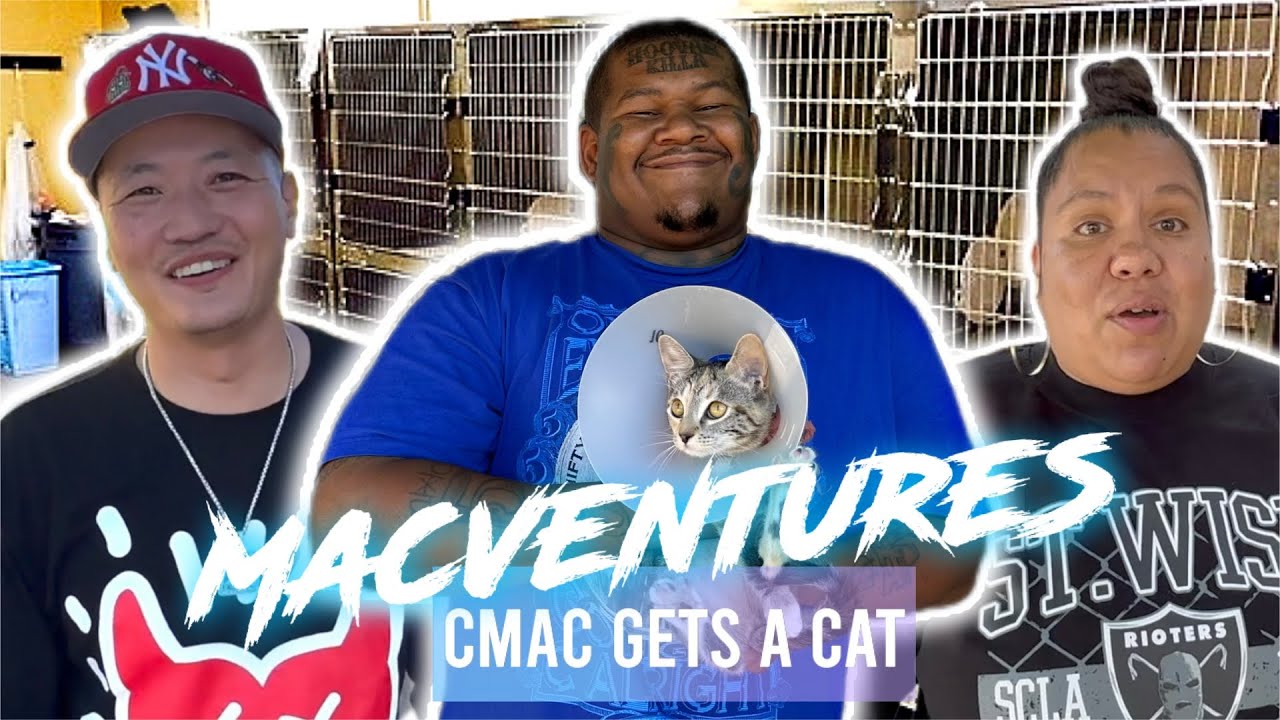 China Mac & Lupe Get C Mac A Cat