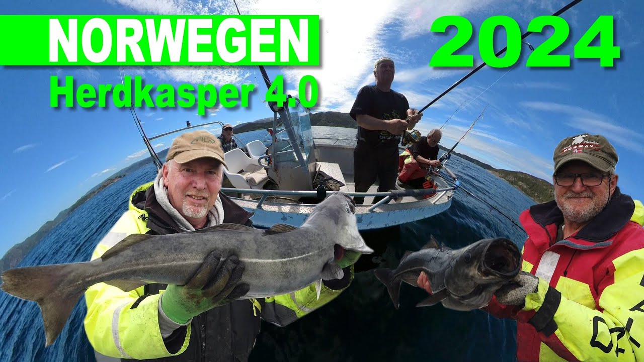Angeln in Norwegen 2024 - Seelachsrausch an der Trondheimsleia - Der Herdkasper 4.0 auf Wittstock TV