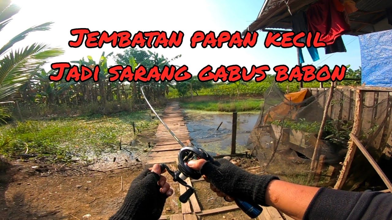 Parit kecil banyak sambaran 