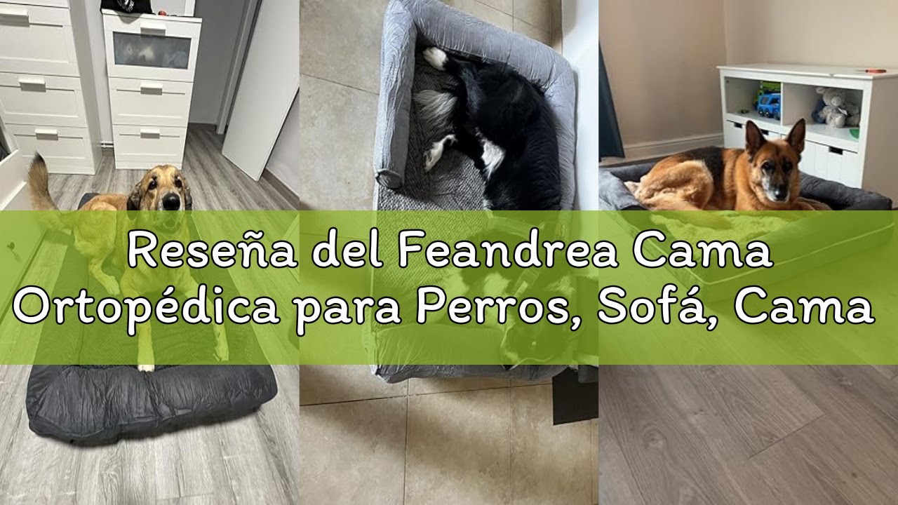 Reseña del Feandrea Cama Ortopédica para Perros, Sofá, Cama para Mascotas, Acolchado Suave, Bordes E