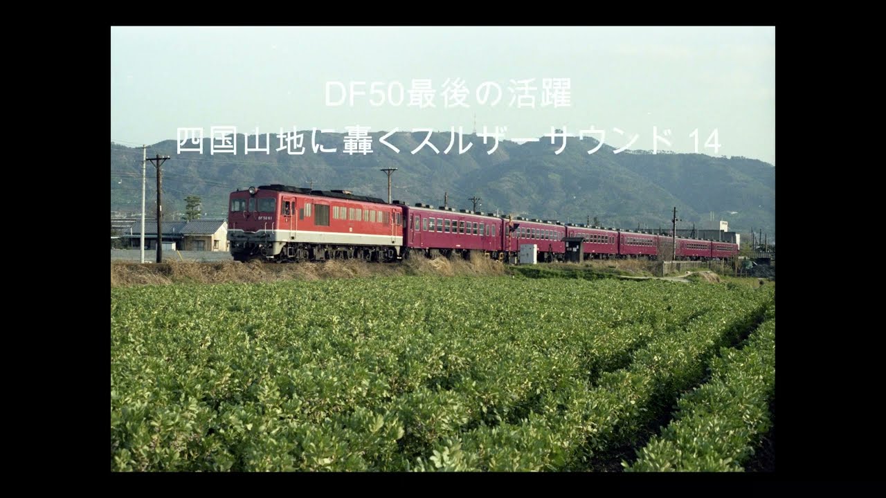 DF50最後の活躍　四国山地に轟くスルザーサウンド　14