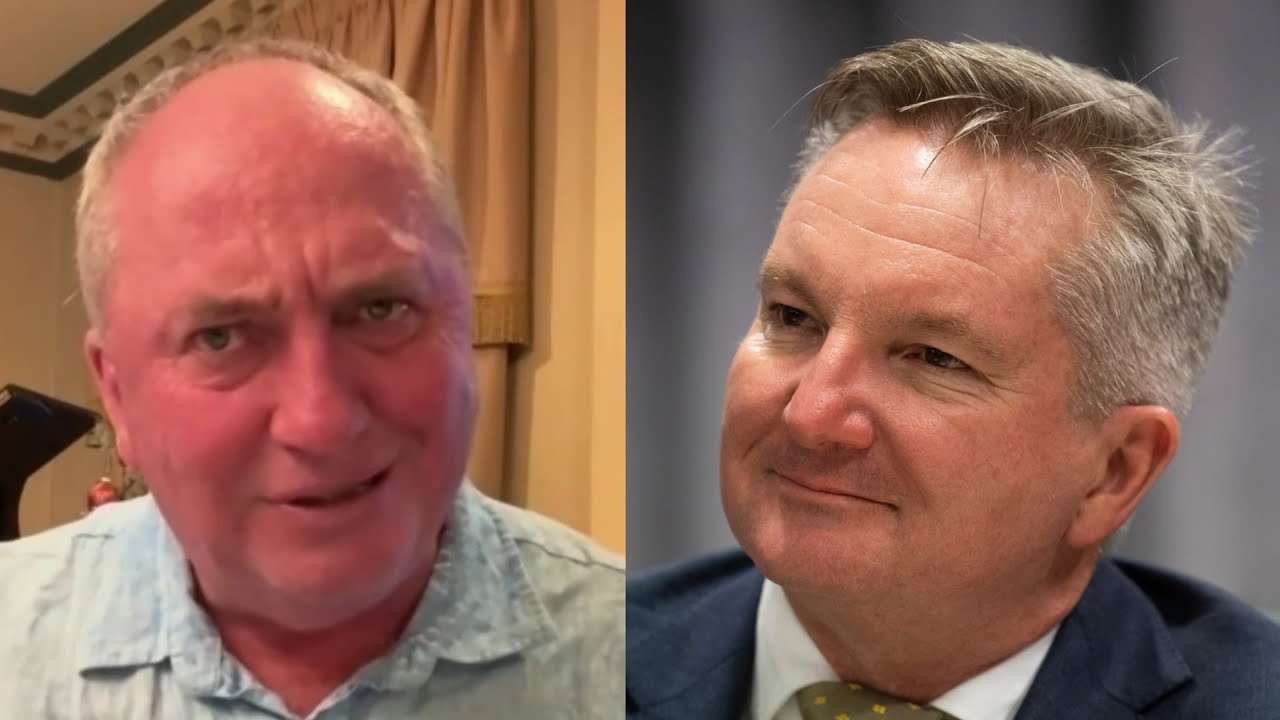 Barnaby Joyce blasts Chris Bowen’s free energy plan