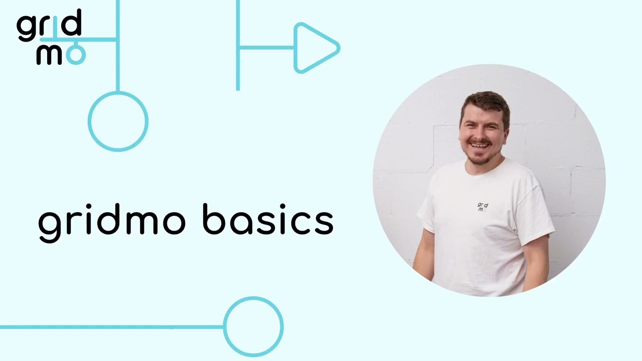 gridmo basics - How to use the web app