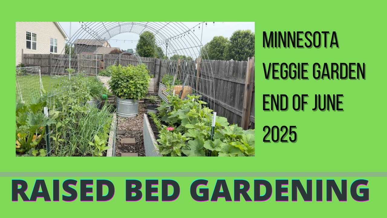 End of June Arch Veggie Garden