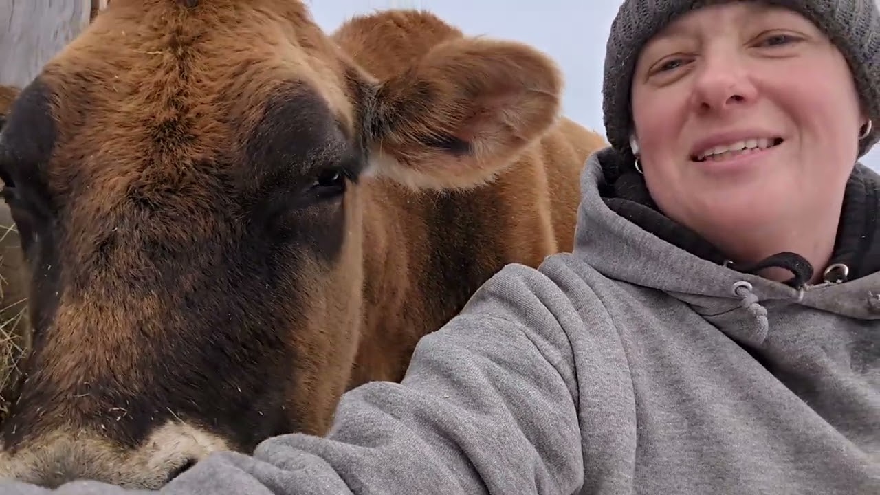 We got a cow 2 years ago today! 