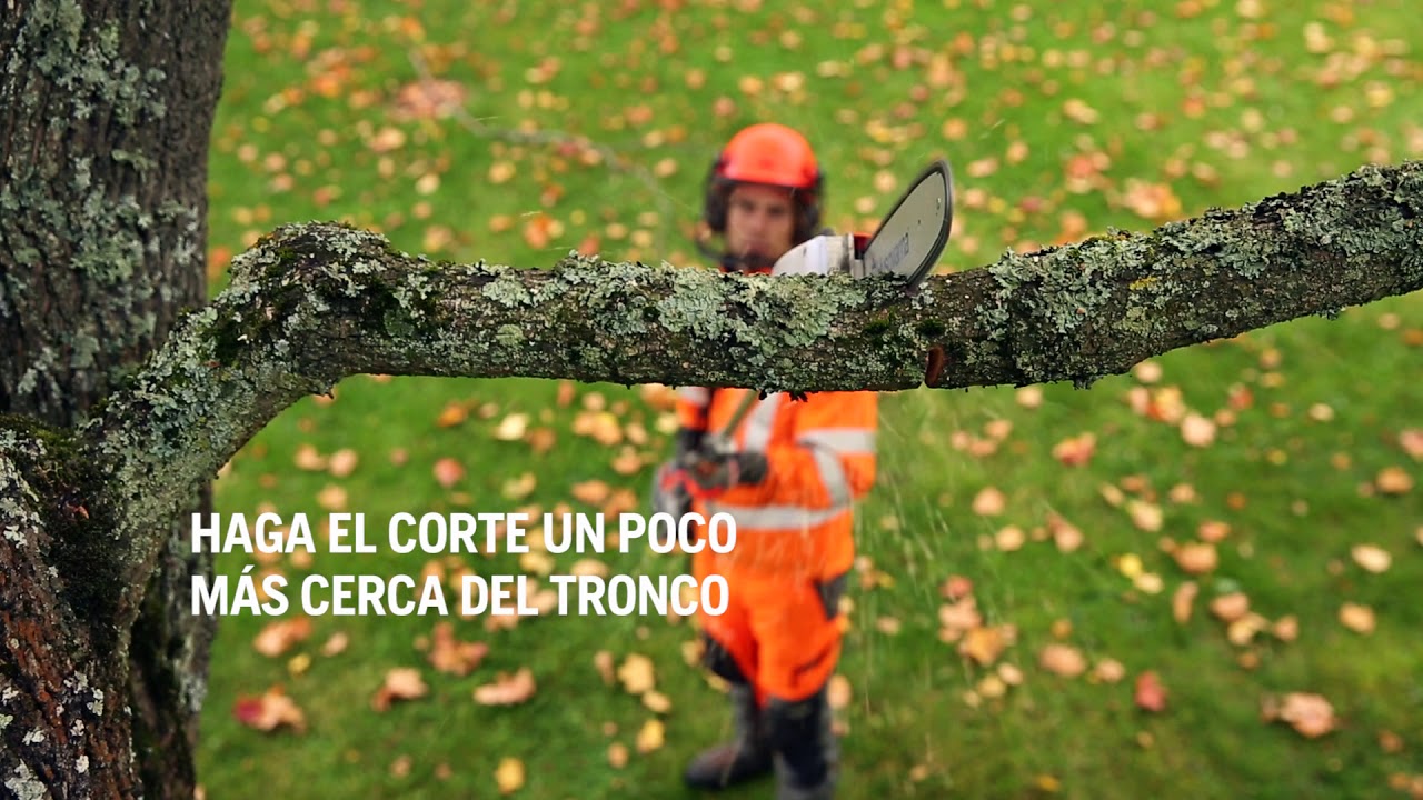 C&oacute;mo cortar con la sierra de poda sin que se atasque la barra