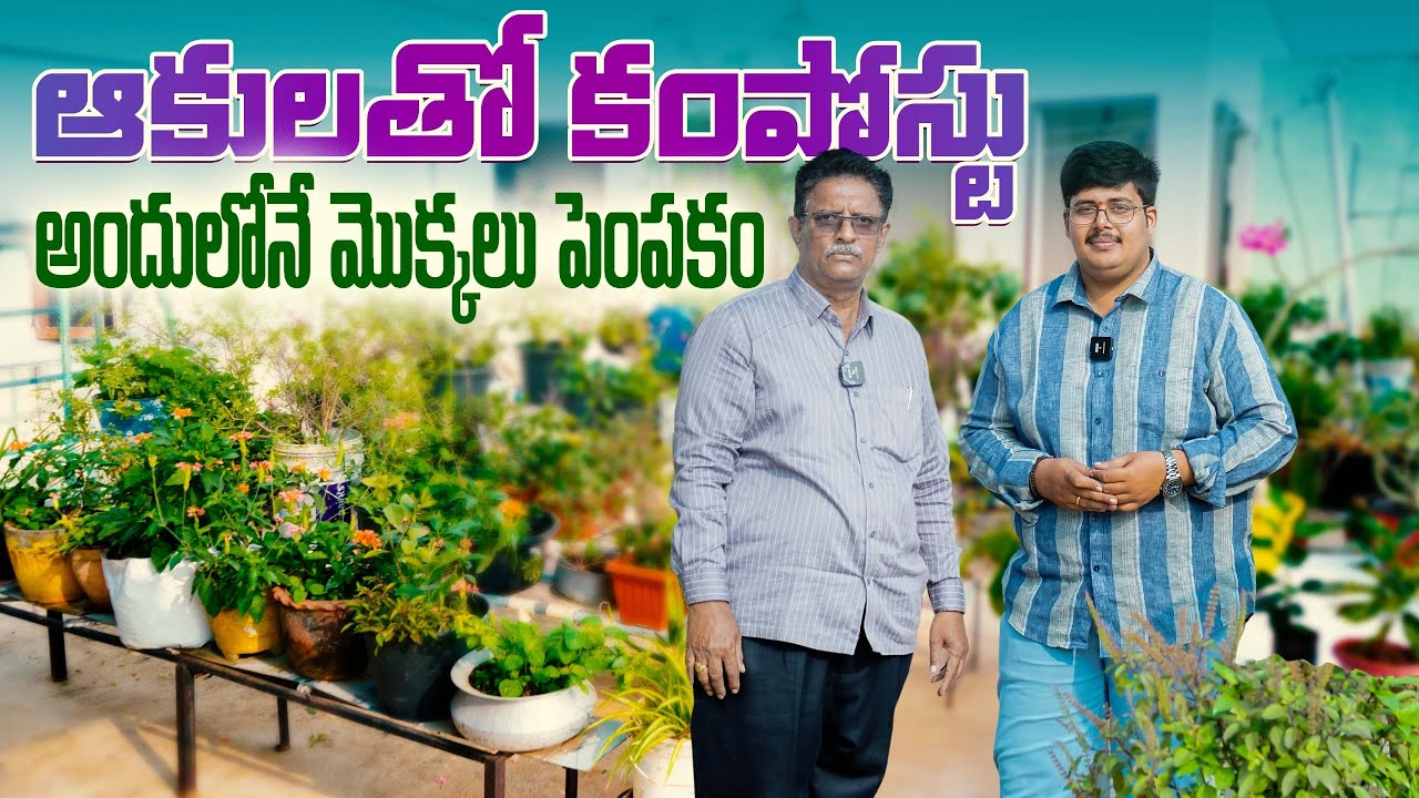 ఒక్క కుండీ కూడా బరువు లేదు , మట్టి లేదు ! ఎలా సాధ్యమంటే ? @Organic Prabha