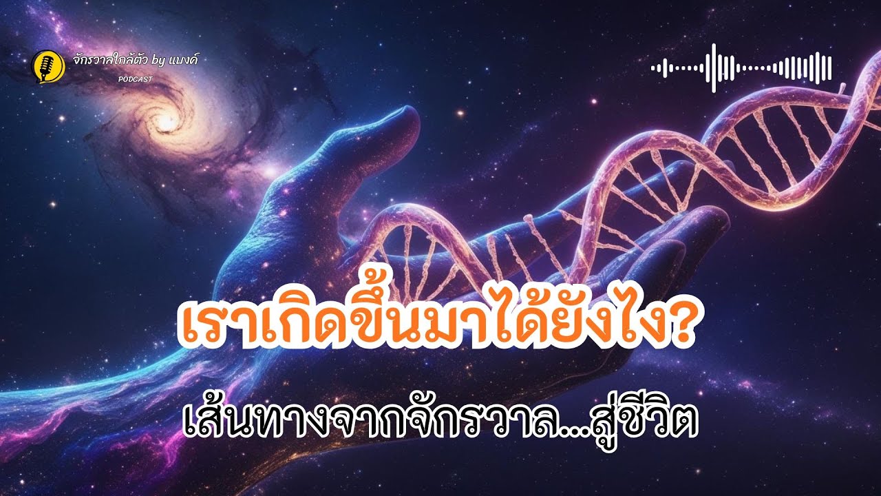 ใครสร้างเรา? ชีวิตในจักรวาลเกิดขึ้นได้ยังไง? | สารคดีวิทยาศาสตร์ 60 นาที