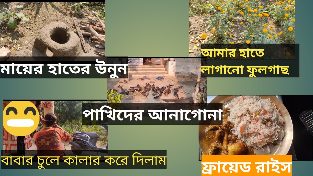 সারাদিনের কাজকর্ম