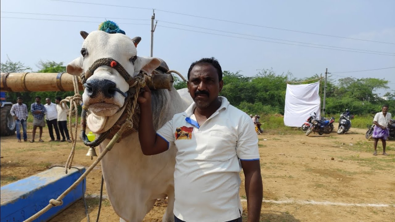 కడప జిల్లా ఉలిమెల గ్రామంలో ఓల్డ్ క్యాటగిరి విభాగంలో4వ జత K.రామాంజనేయులు గారు గార్లదిన్నె
