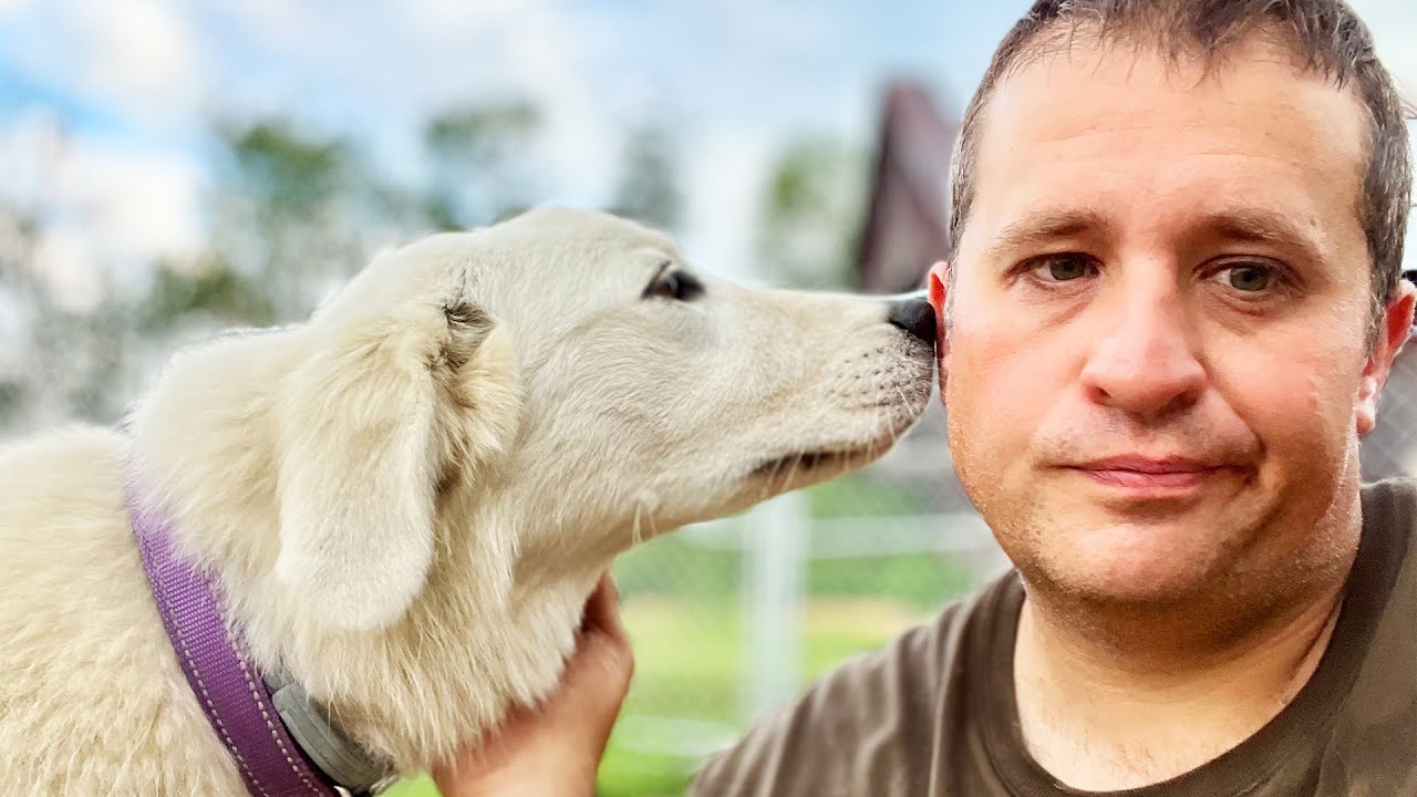 Spilling Tea on the Abby Drama