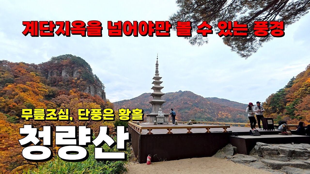 계단지옥을 넘어야만 볼 수 있는 풍경! 단풍 초절정의 봉화 청량산