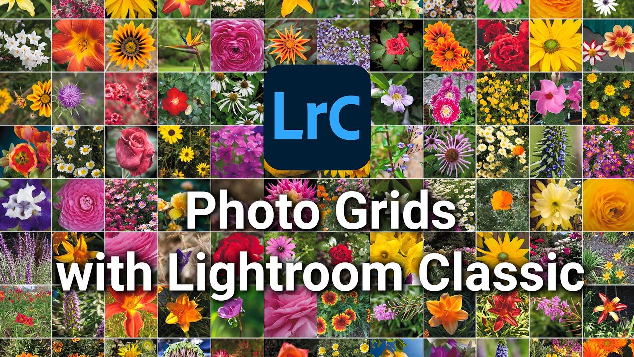 Photo Grids with Lightroom Classic