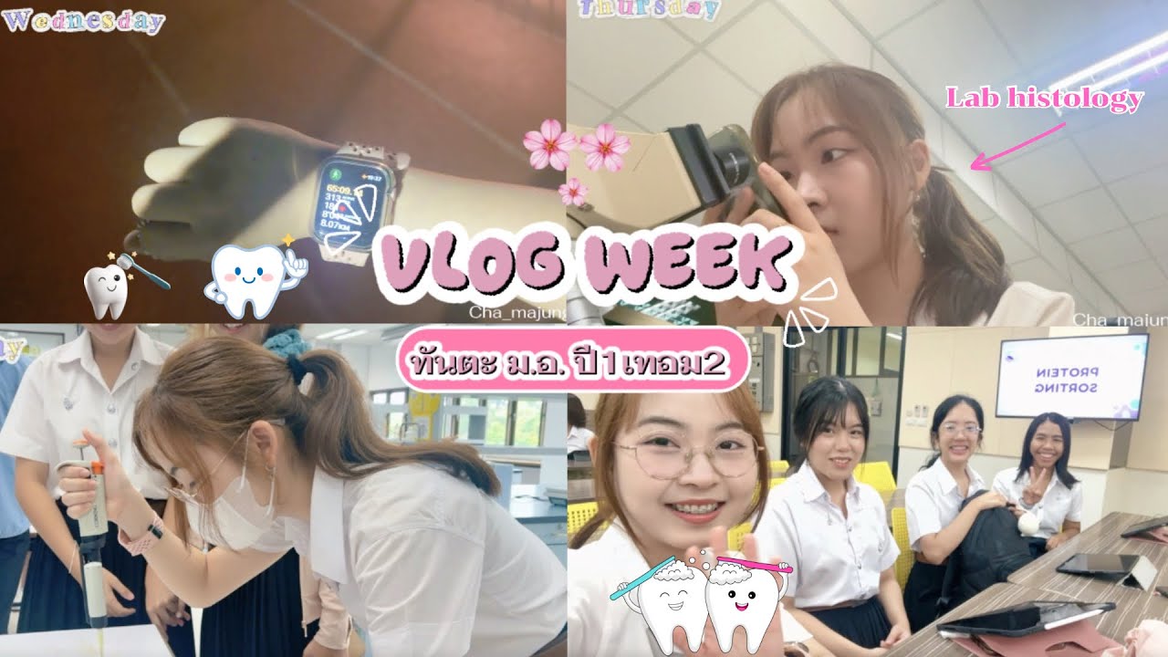 Vlog week🏫: 1สัปดาห์กับนักศึกษาทันตะม.อ.ปี1เทอม2(ทำอะไรบ้าง,เรียนอะไรบ้าง,กินอะไรบ้าง😽) | Cha_majung