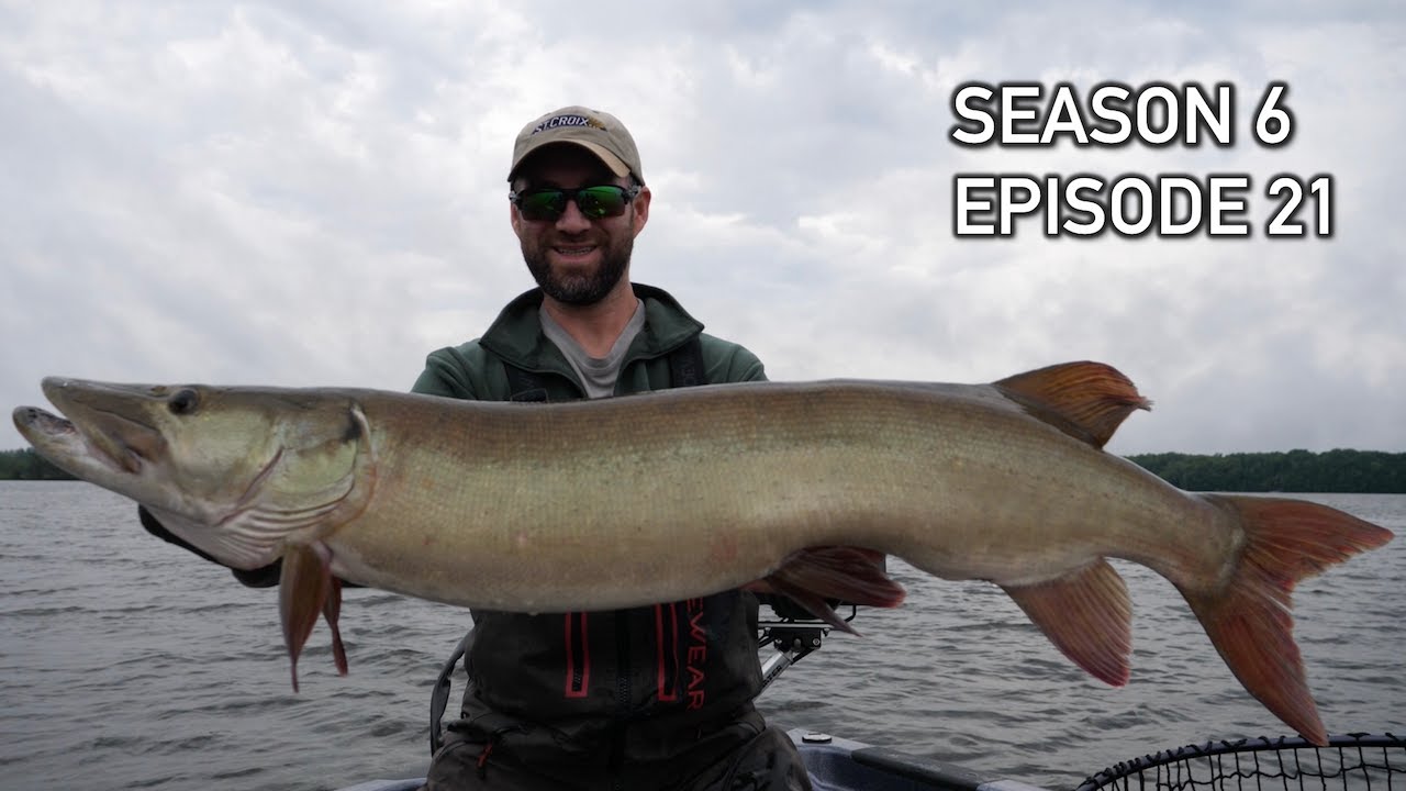 GIANT Musky Strikes BLIND in the Figure-8! INSANE EAT!!! S6.E21