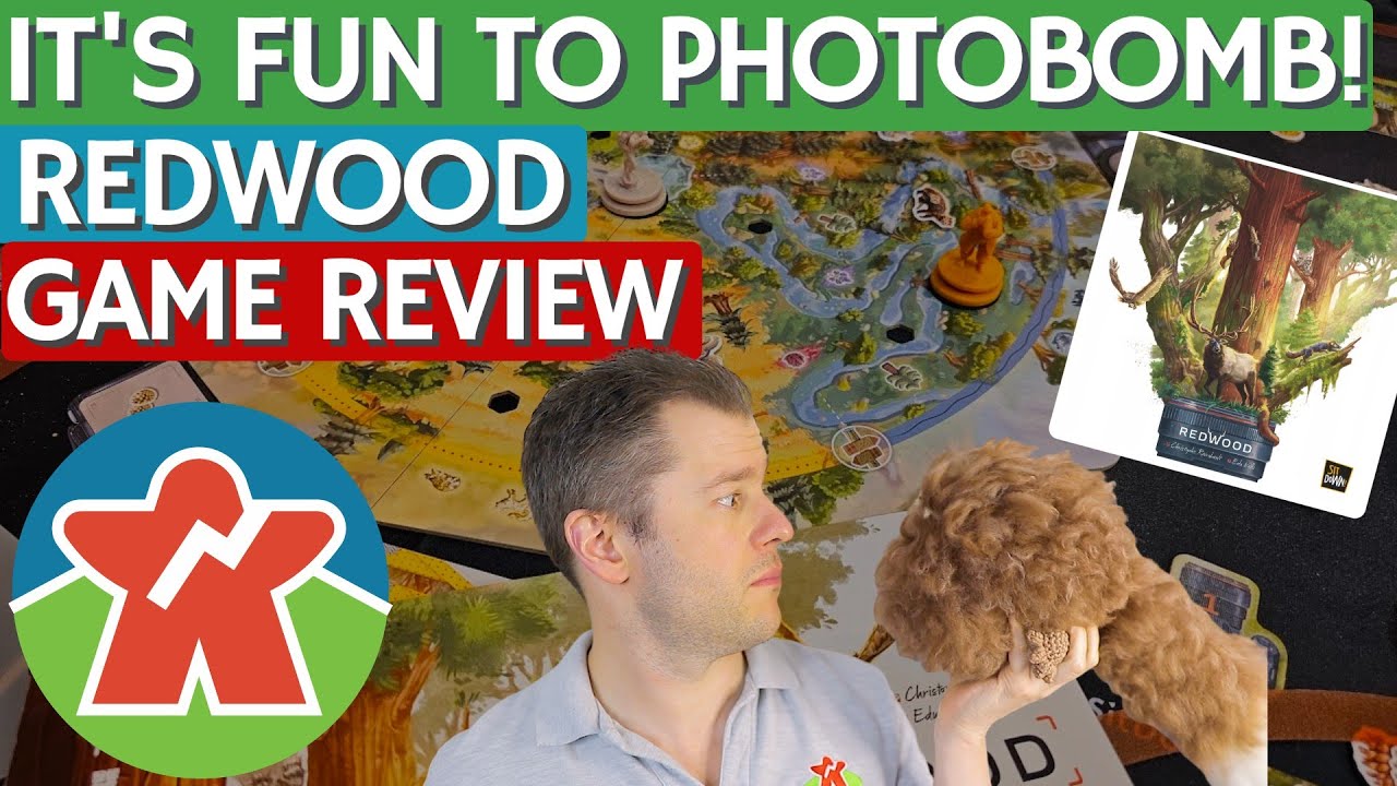 Redwood - Board Game Review - It's Fun To Photobomb!