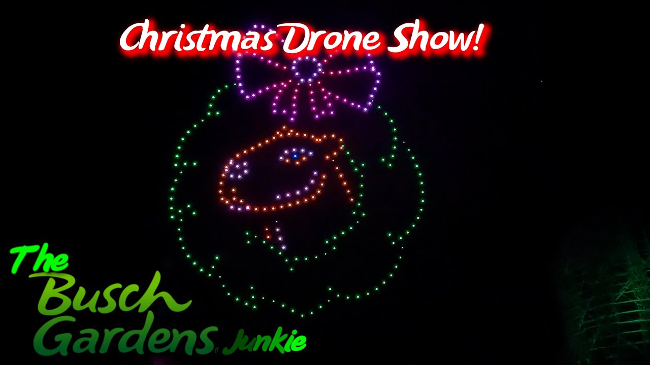 Busch Gardens Tigris No More Comfort Collars! Christmas Drone Show! Maggy's No Reaction Challenge!