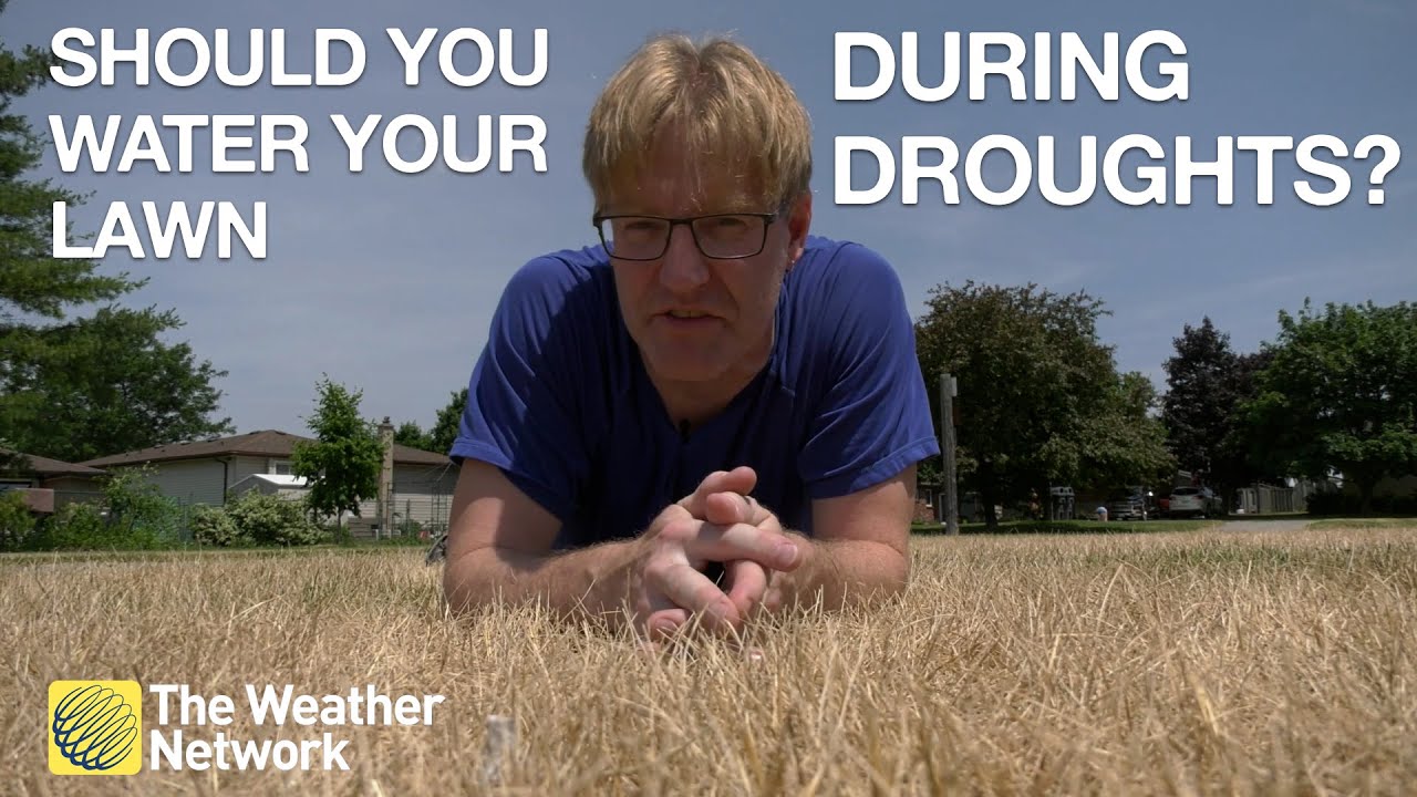 Should You Water Your Lawn During Droughts?