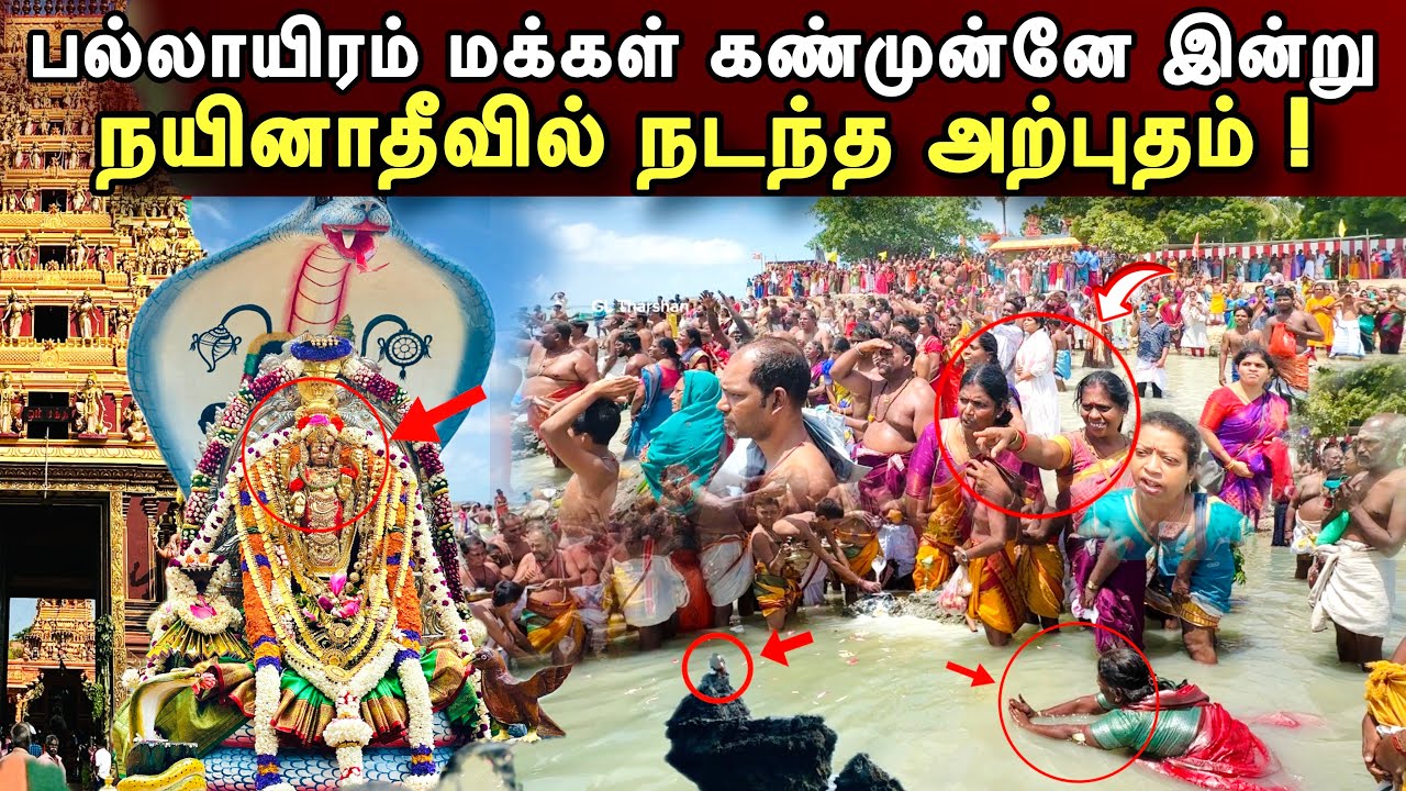 🔴 நாகதீவில் இன்று கண்முன்னே நிகழந்த அற்புதம் ! திடீரென கடலுக்குள் பாம்புபோல் மாறிய பெண் |GL Tharshan