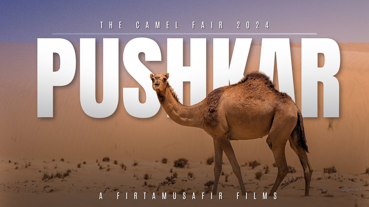 Pushkar Fair 2024 (A Cinematic Documentary) | Film By FIRTAMUSAFIR