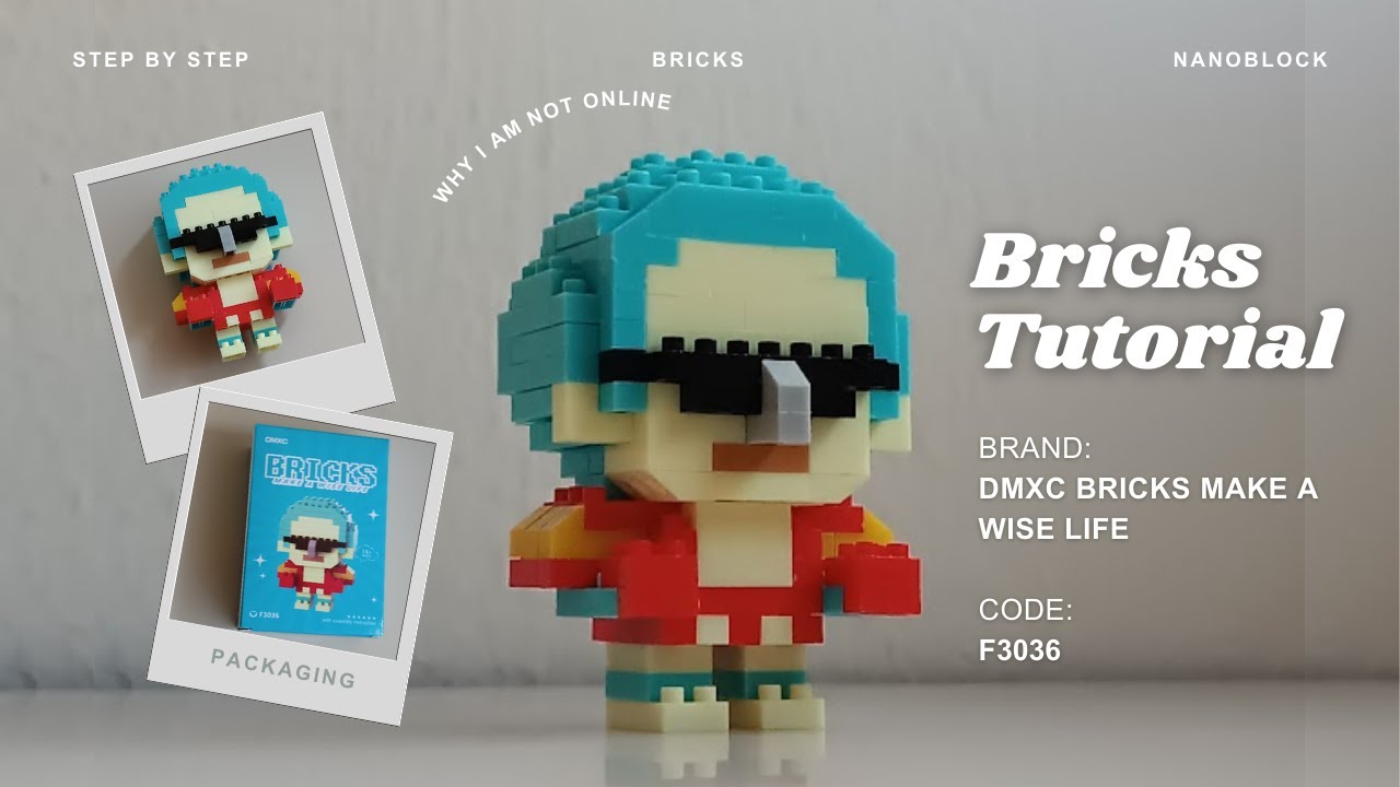 How to Build Franky One Piece Building Blocks | DMXC Bricks Make a Wise Life F3036 | 172 Pieces
