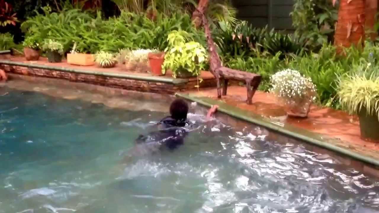 Swimming during a hot day in ZIMBABWE #swimming #zimbabwetourism #touristattraction