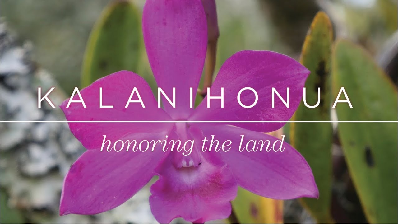 Kalanihonua: Honoring the Land