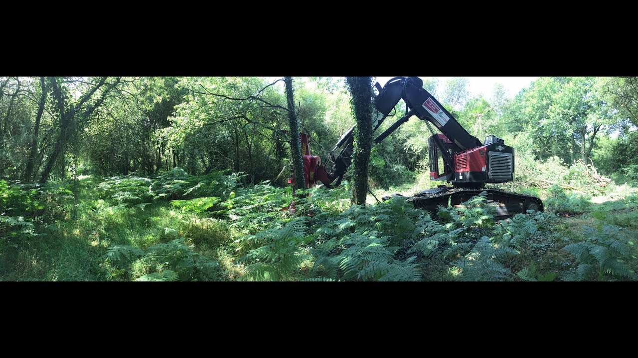 BEMA PRODUCTEUR DE BOIS ENERGIE