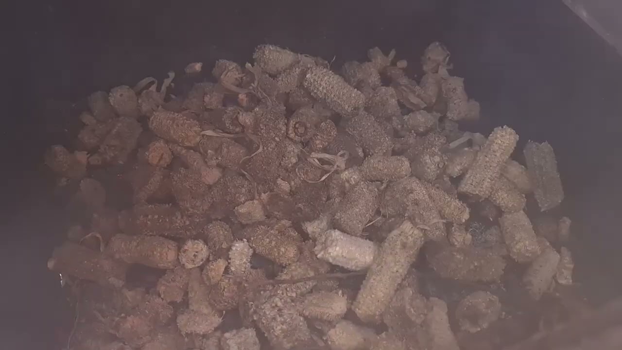 BUKAN  IKAN ASAP BIASA DARI DESA KALIREJO KABUPATEN PROBOLINGGO (P3PD TA 2023)