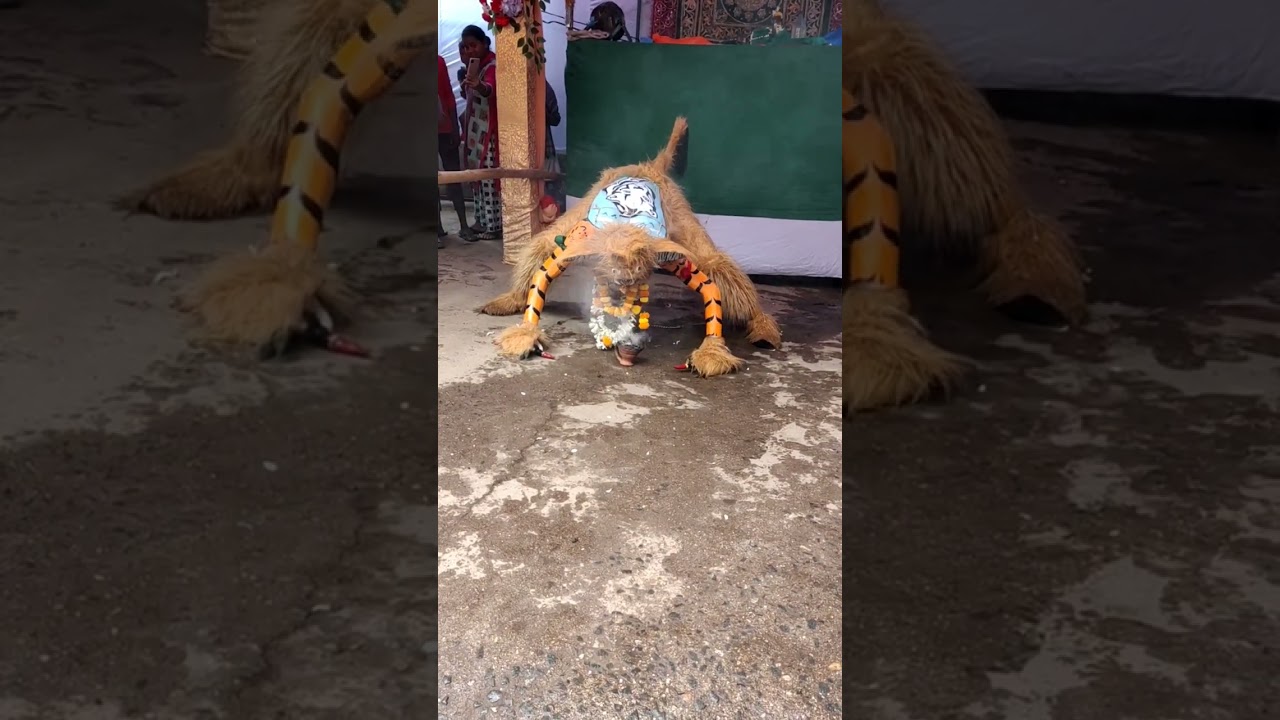 Muharram Bagh | Jharri | Satmi | Redio Maidan Akhara 🐯 🔥🔥